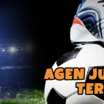 bettor profesional - aplikasijudibola