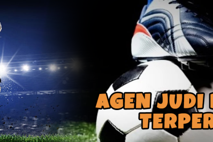 bettor profesional - aplikasijudibola