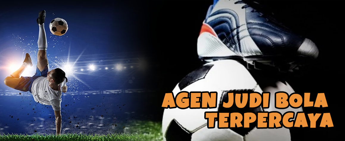 bettor profesional - aplikasijudibola