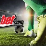 aplikasi judi bola untuk Pemain Indonesia