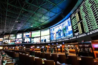 Cara memilih aplikasi judi bola perlu memperhatikan keamanan data, reputasi layanan, kemudahan penggunaan, serta transparansi transaksi